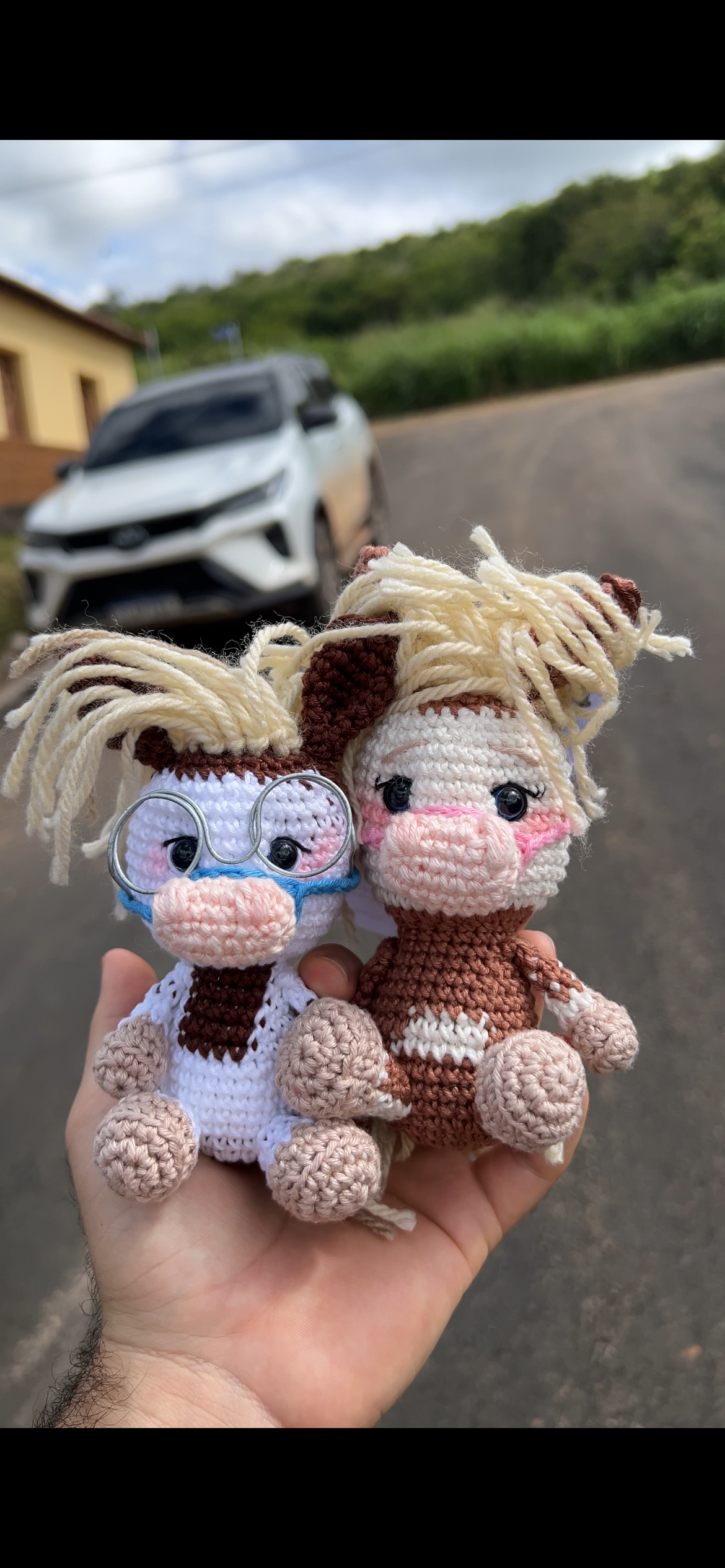 Amigurumi - Casal